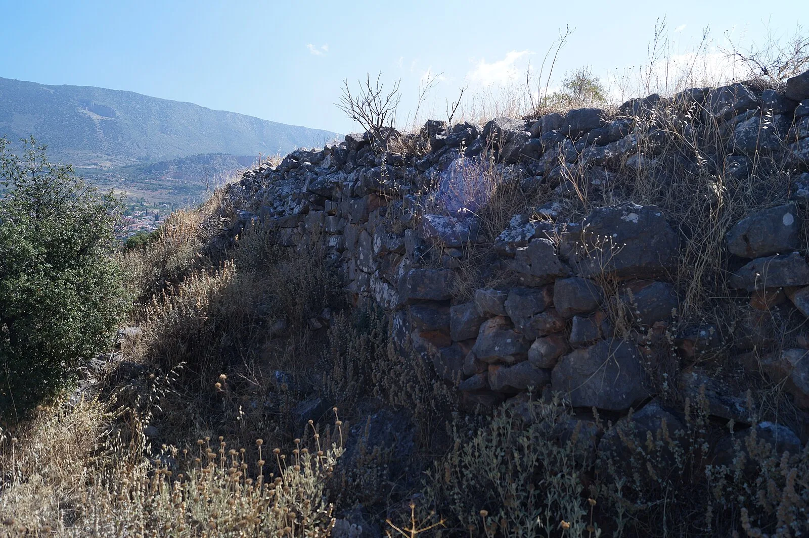 Chrisso, Phocis